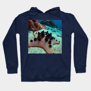 Protoreaster nodosus sea star Hoodie